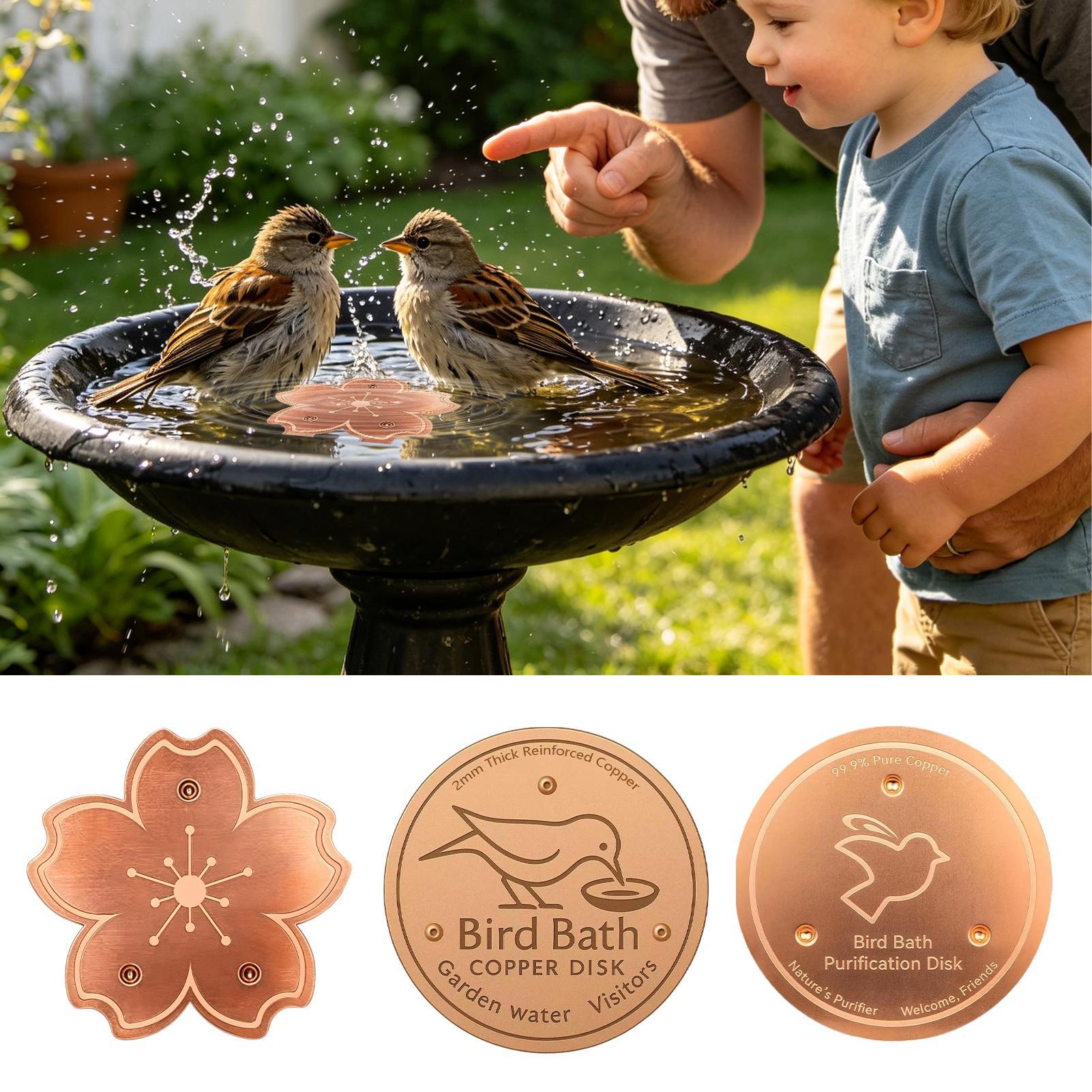 Placa de cobre purificadora se - Watches & Jewelry Lvmh reseña y precio